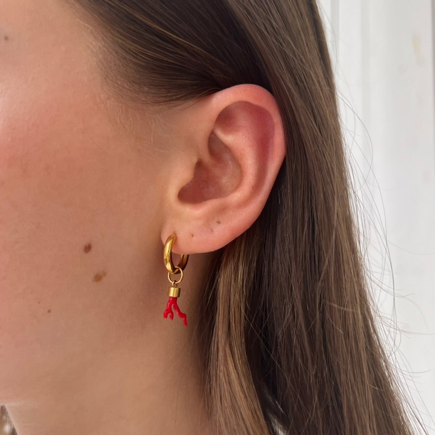 DYO Red Coral DYO Red Coral