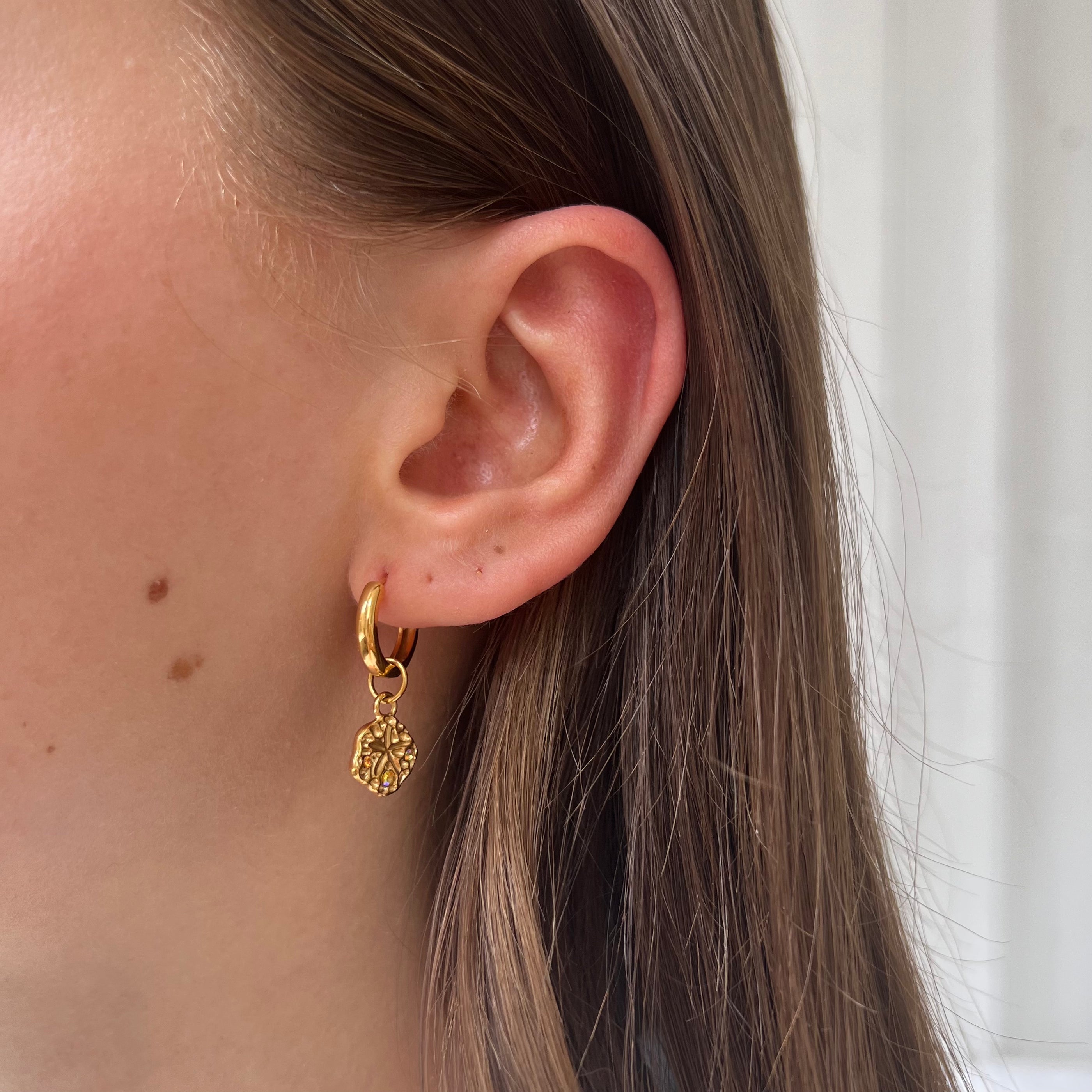 Ohrring Sanddollar Ohrring Sanddollar