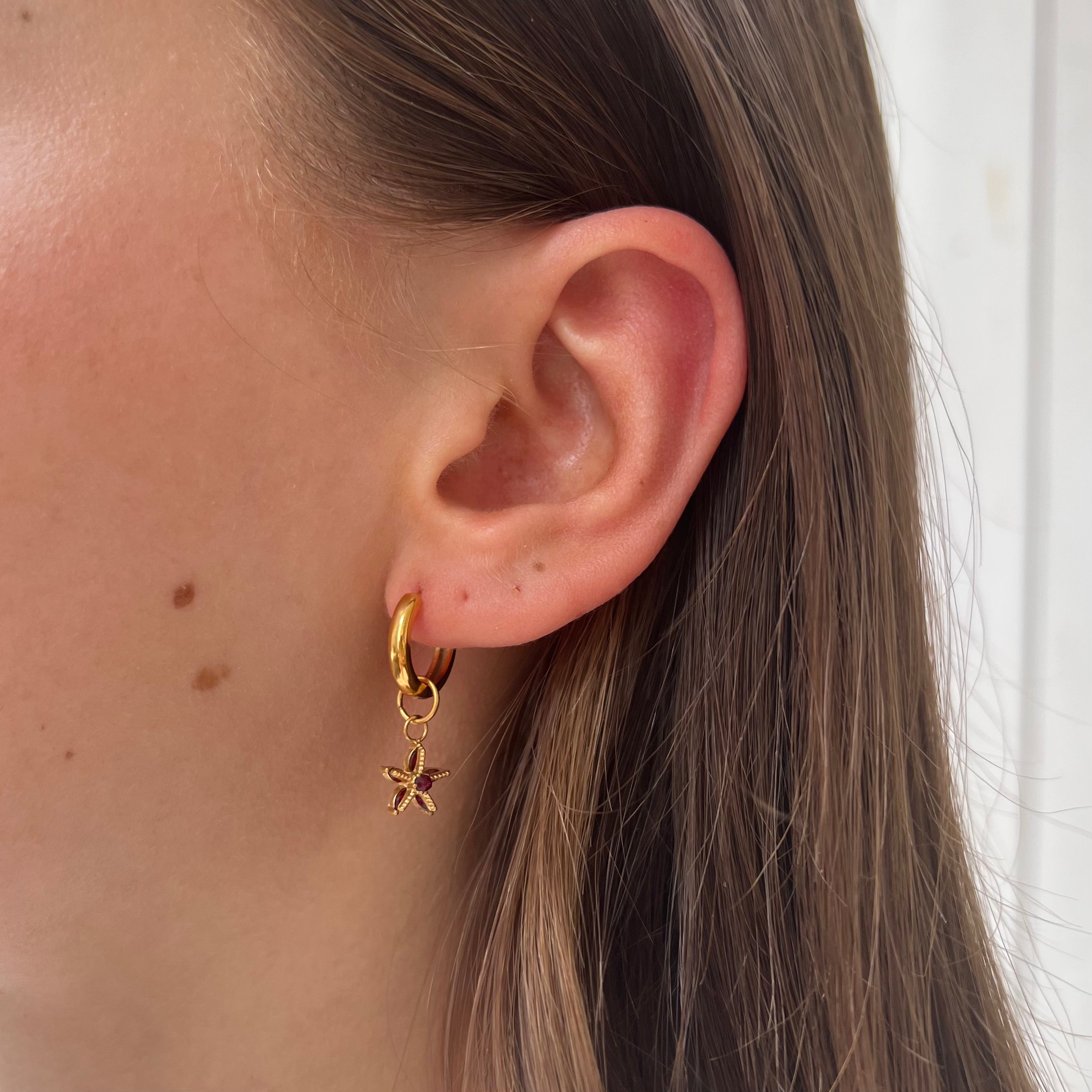 DYO Garnet Starfish DYO Garnet Starfish