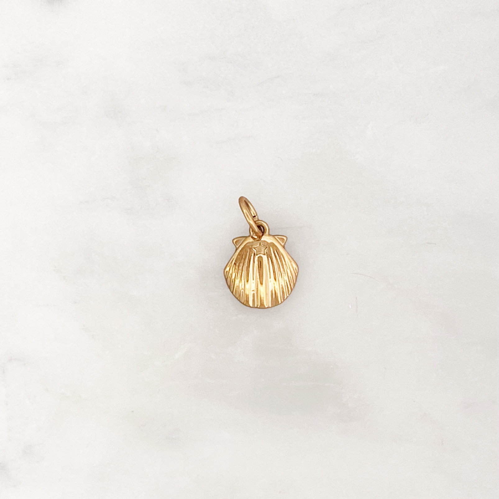 DYO Scallop DYO Scallop