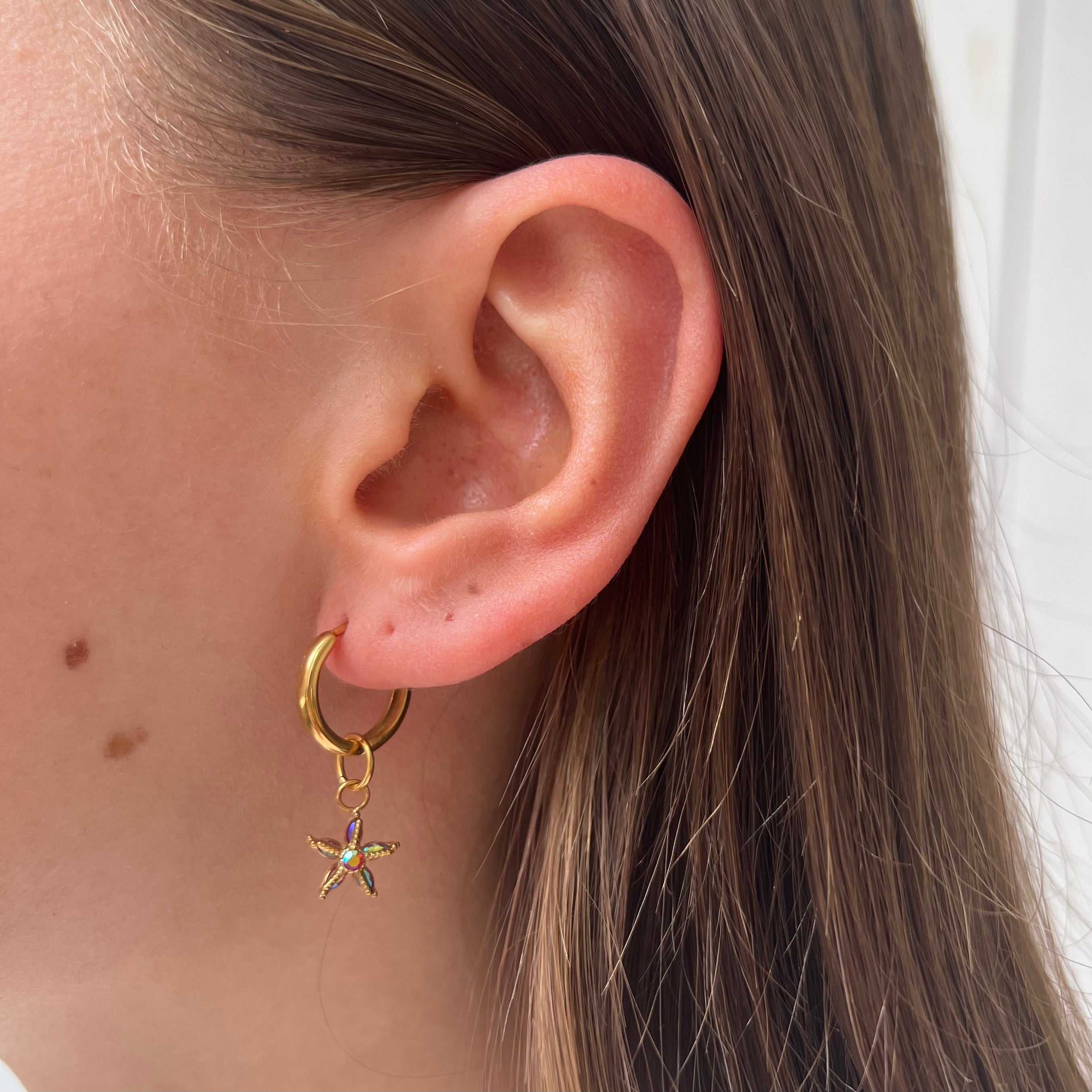 DYO Multi Starfish DYO Multi Starfish