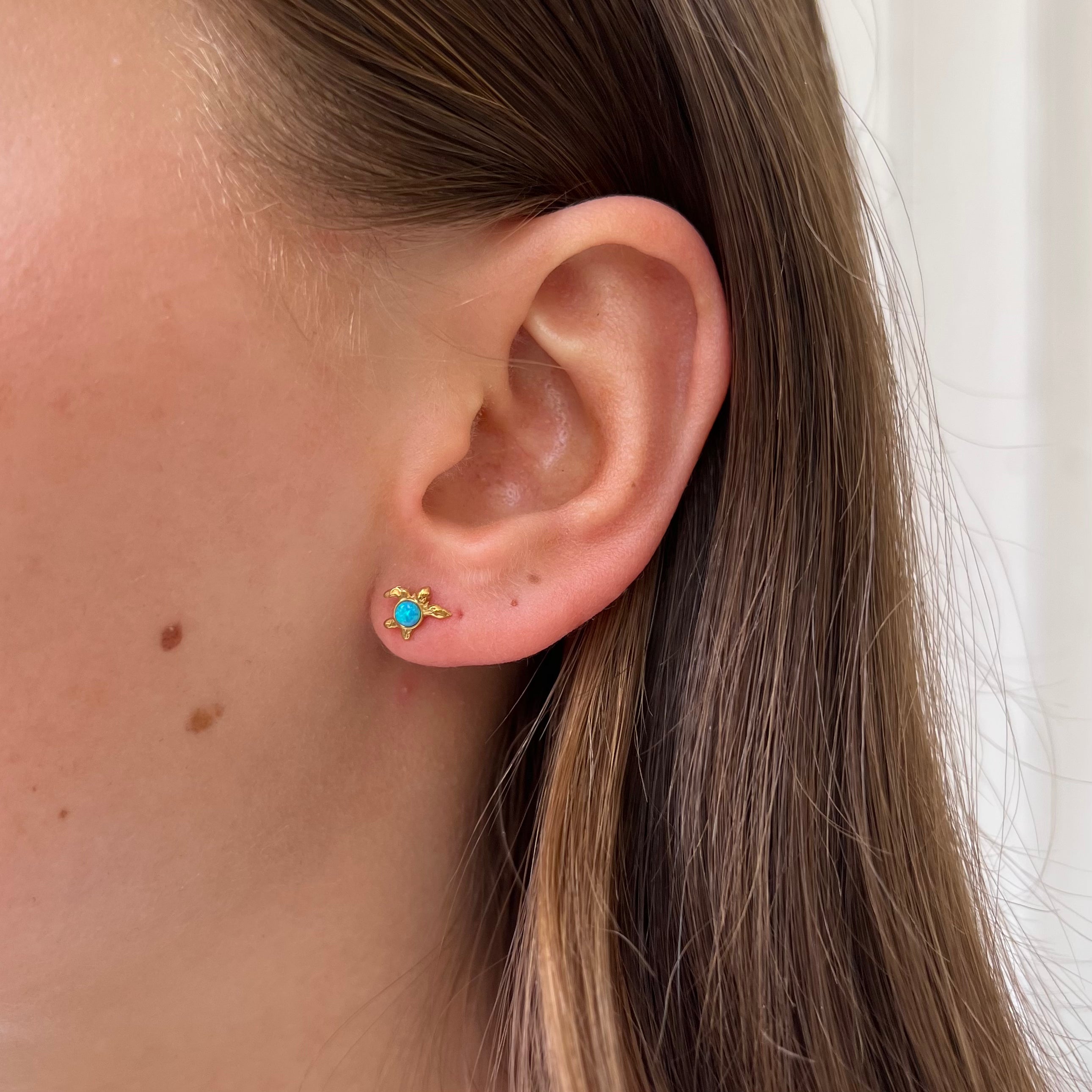 Ohrstecker Blaue Schildkröte Ohrstecker Blaue Schildkröte
