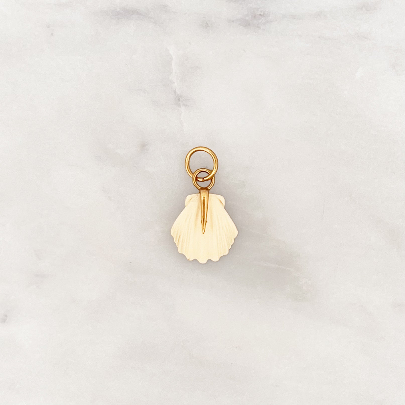 DYO Beige Beach Shell DYO Beige Beach Shell