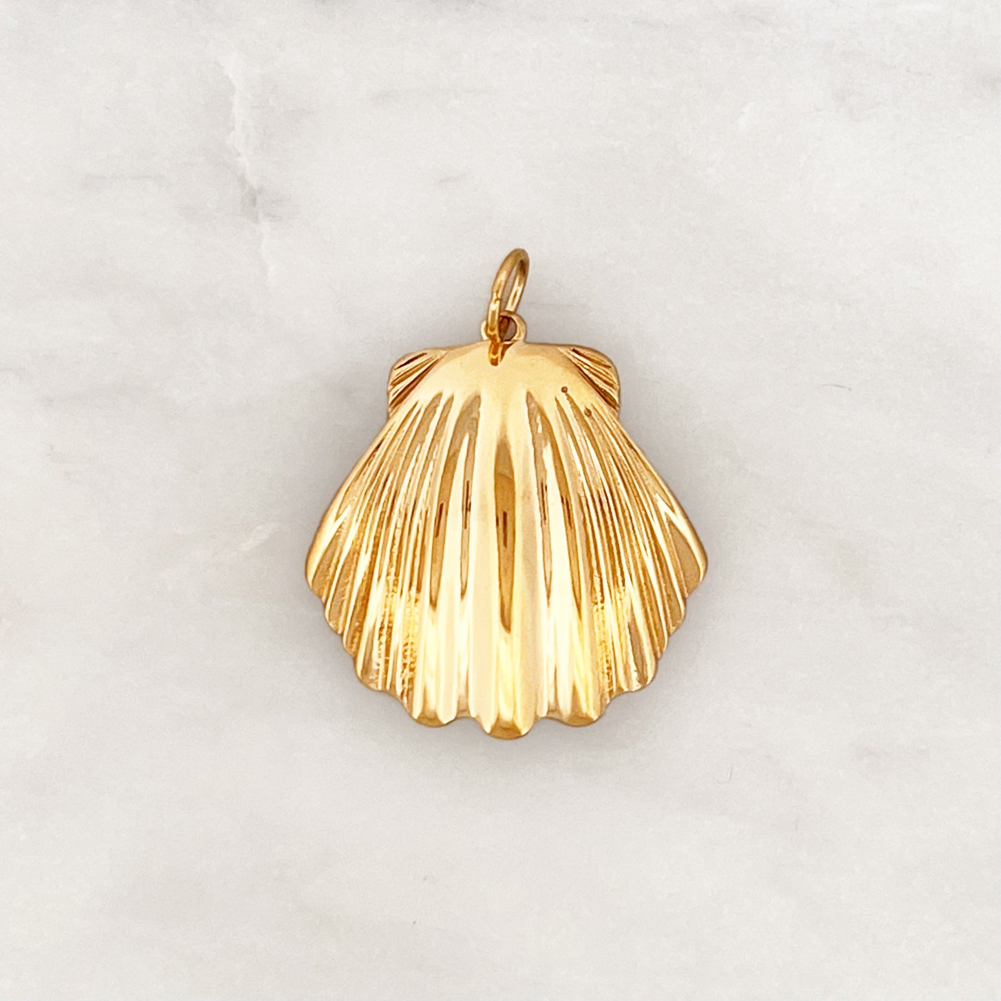 DYO Big Scallop DYO Big Scallop