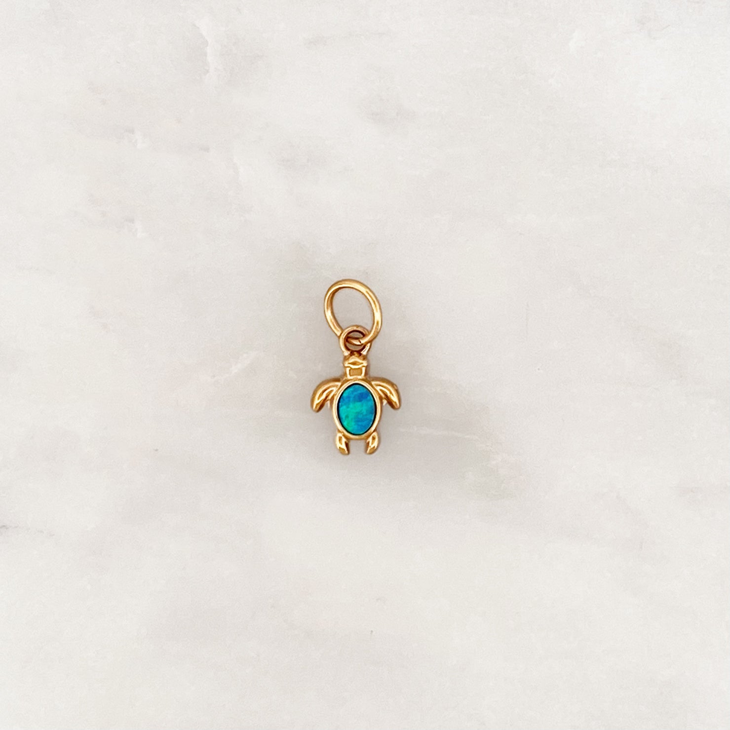 DYO Blue Turtle DYO Blue Turtle