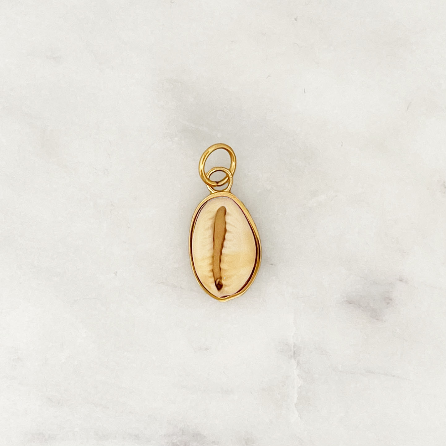 DYO Cowrie Shell DYO Cowrie Shell