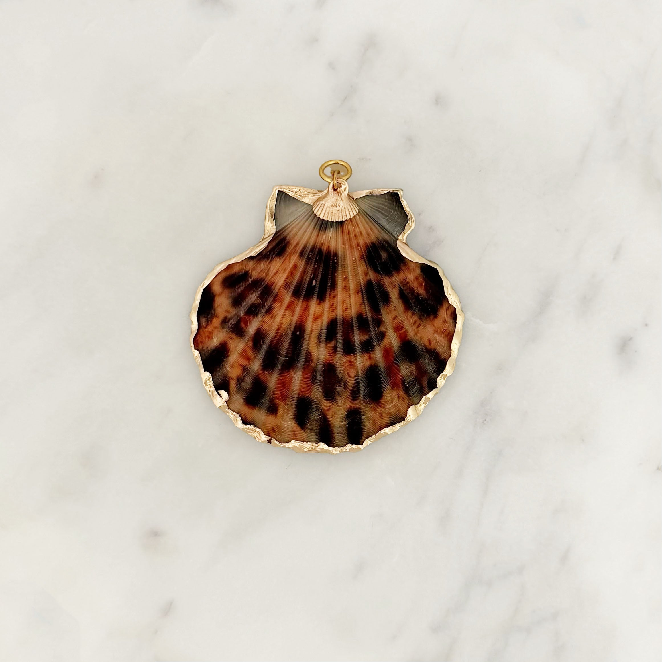 DYO Leopard Shell DYO Leopard Shell