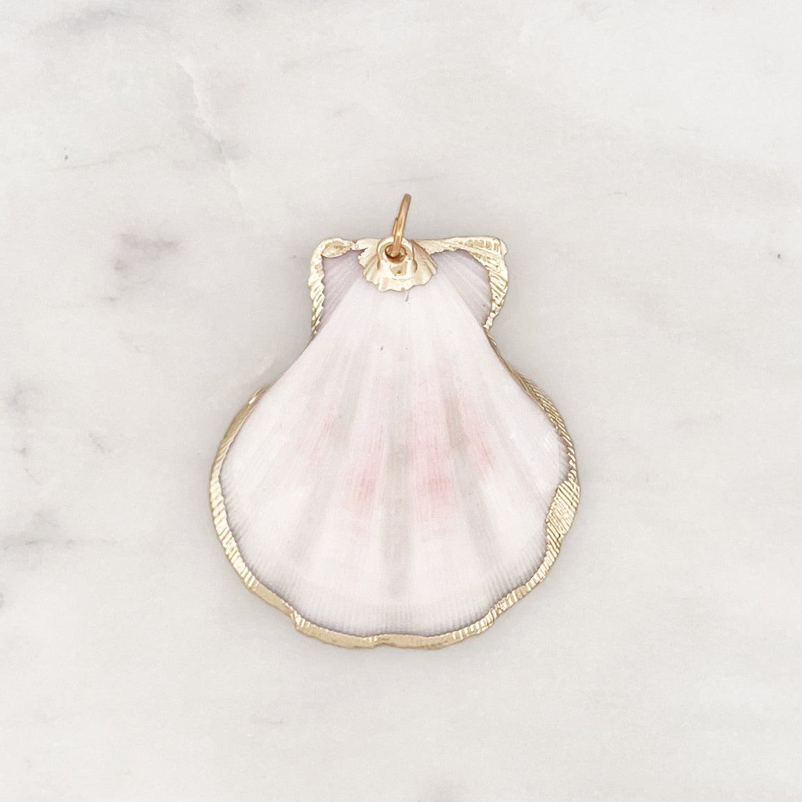 DYO Natural Scallop Shell DYO Natural Scallop Shell