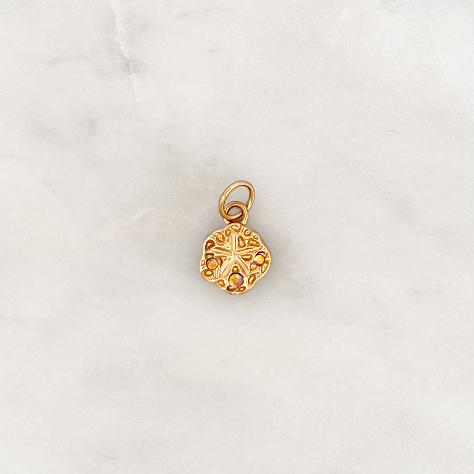 DYO Sand Dollar DYO Sand Dollar