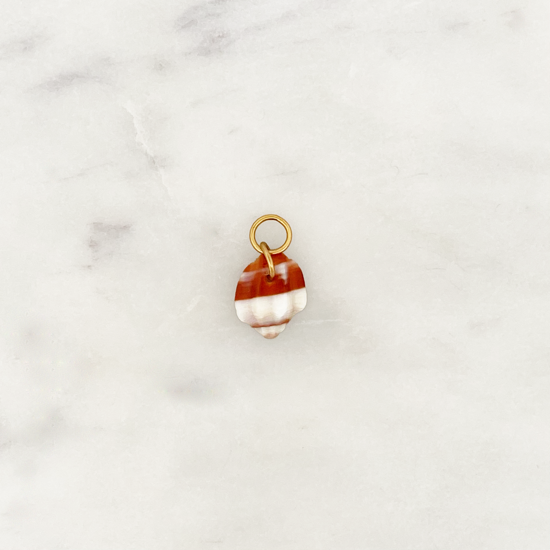 DYO Sandy Beach Shell DYO Sandy Beach Shell