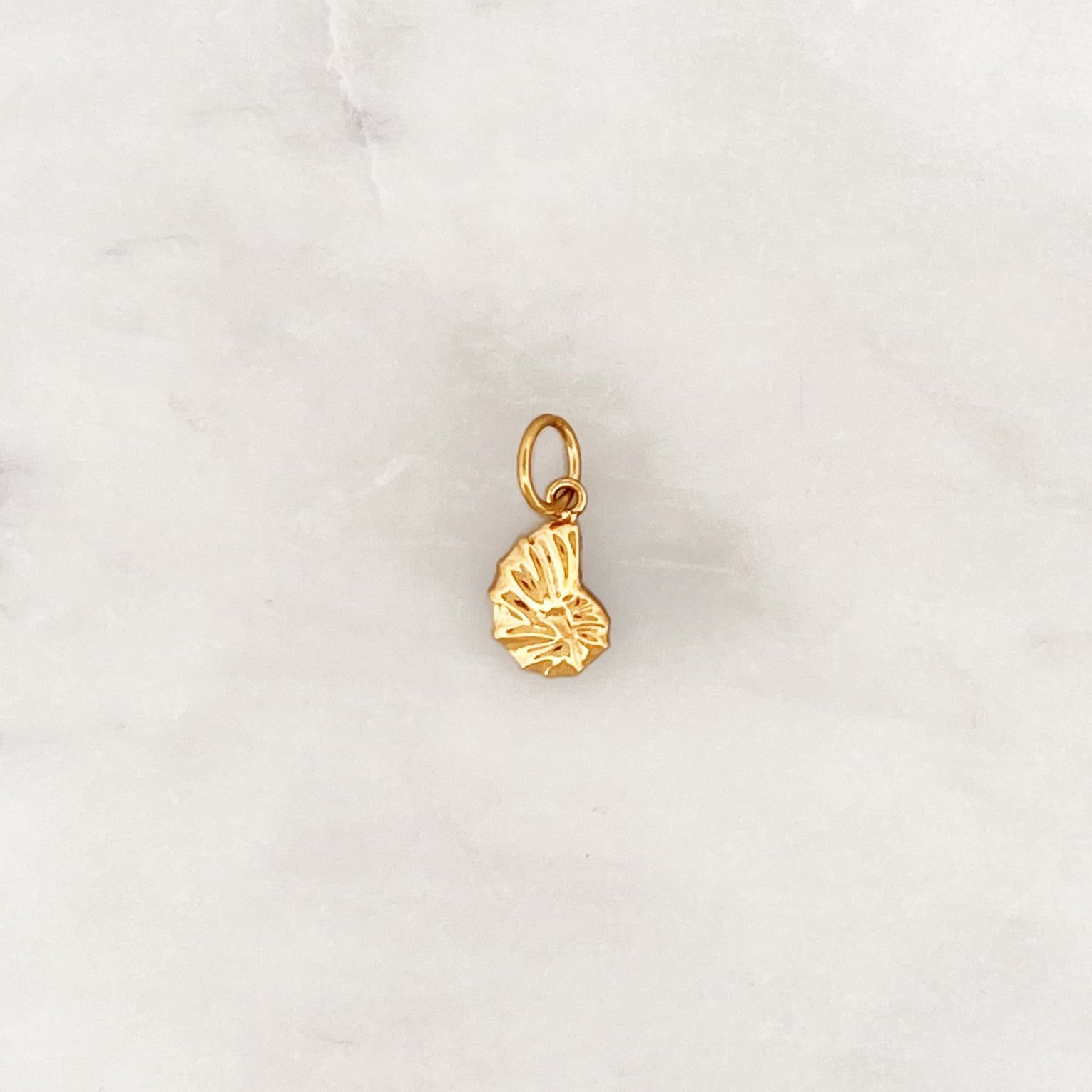 DYO Sea Shell DYO Sea Shell