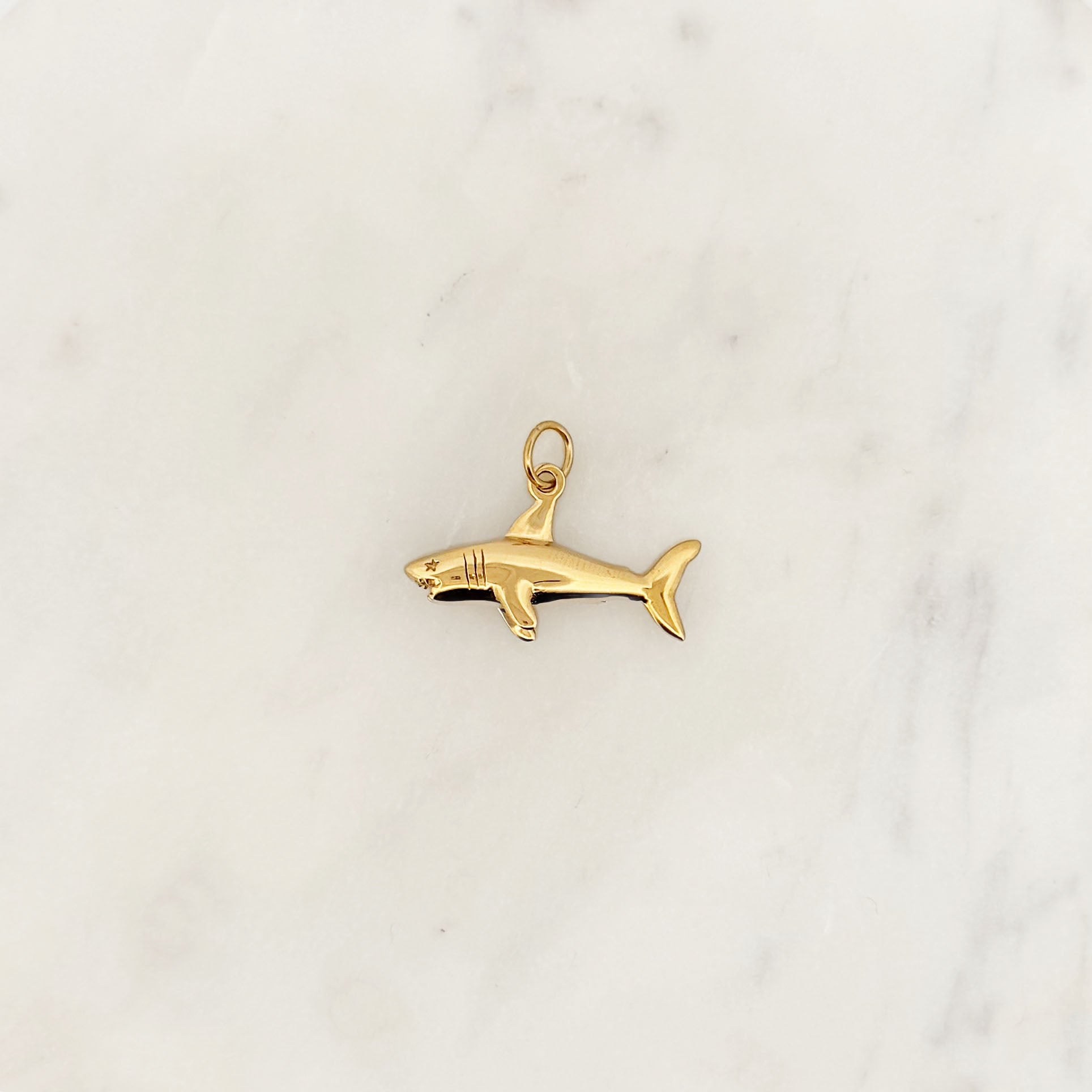 DYO Shark DYO Shark