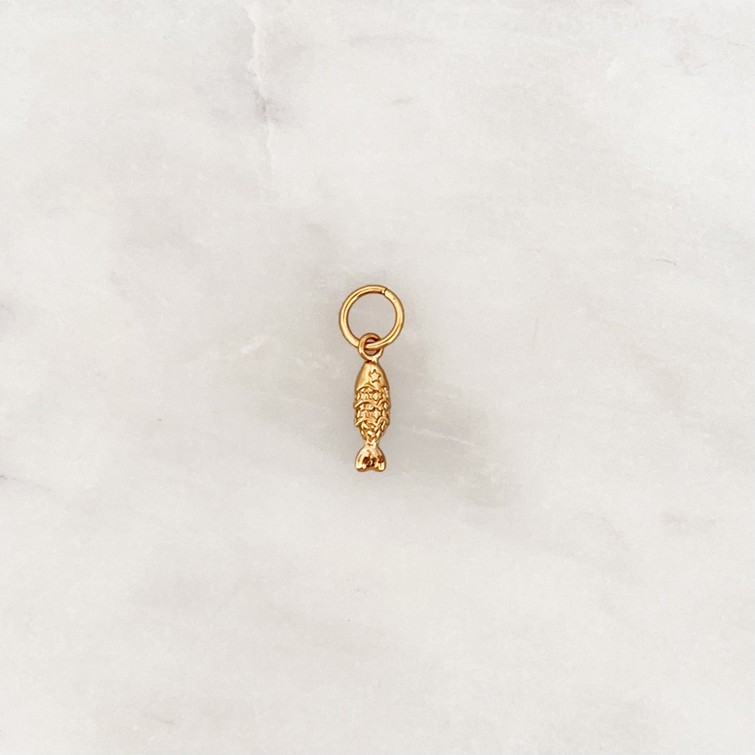 DYO Kleiner Fisch DYO Kleiner Fisch