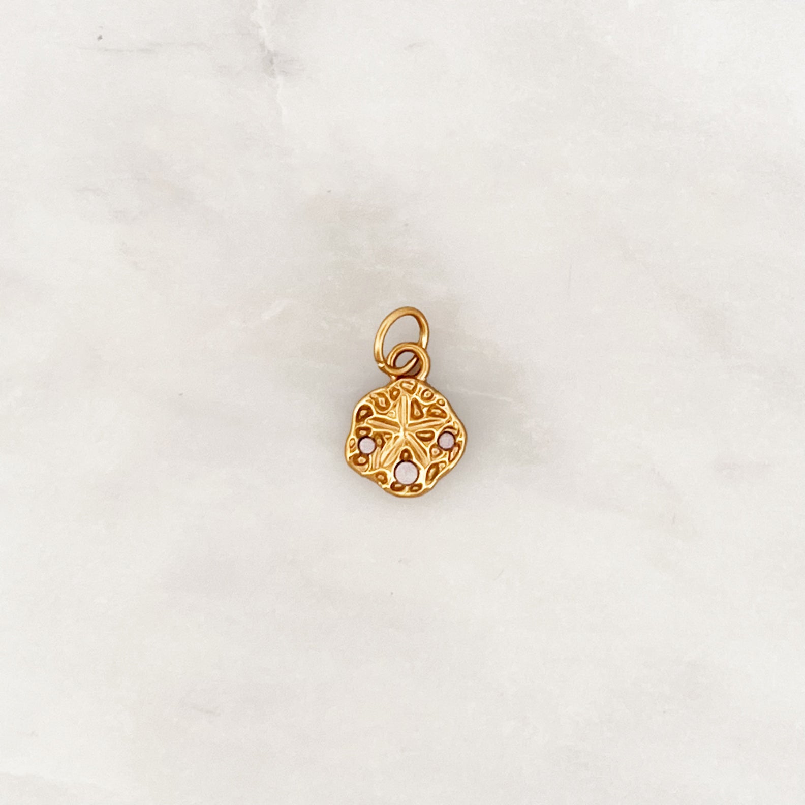 DYO Weißer Opal Sanddollar DYO Weißer Opal Sanddollar