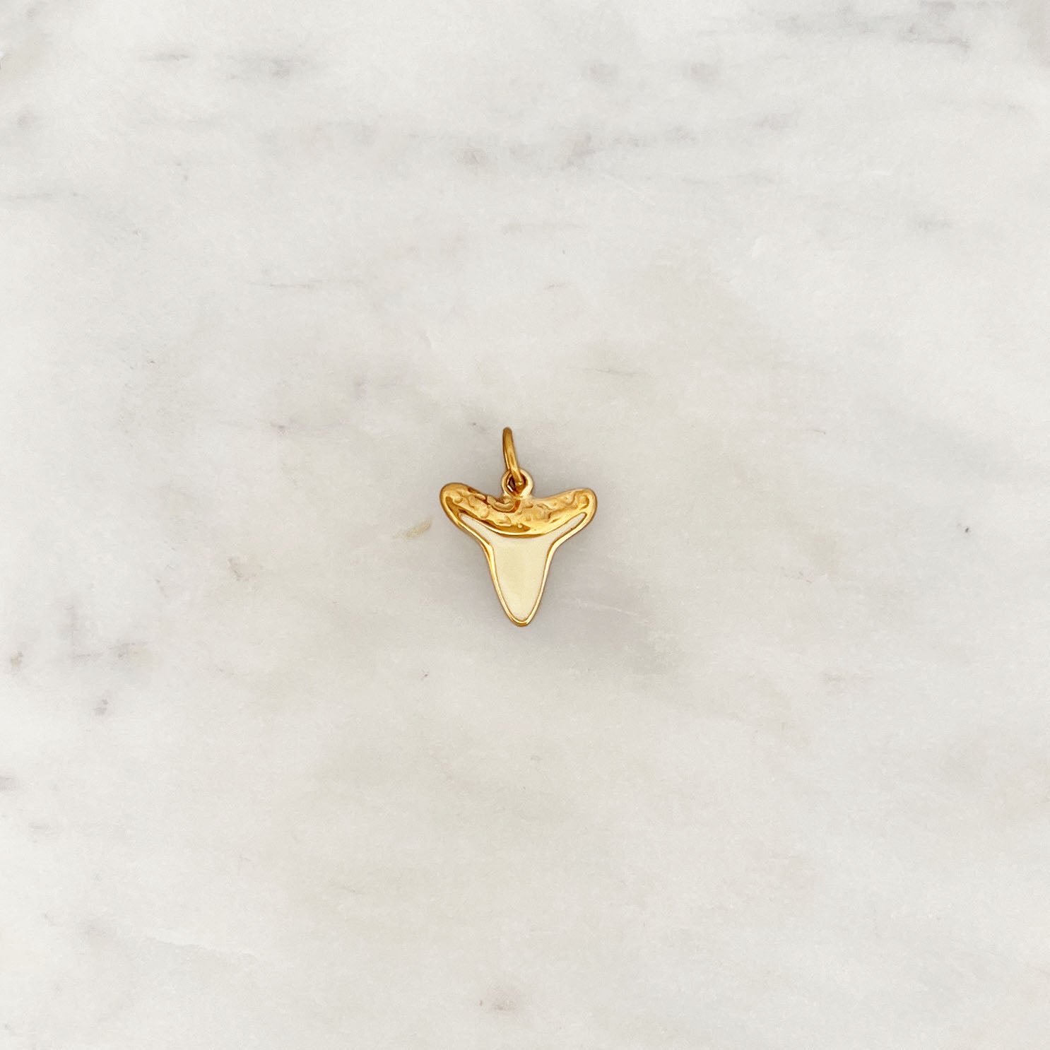 DYO Shark Tooth DYO Shark Tooth