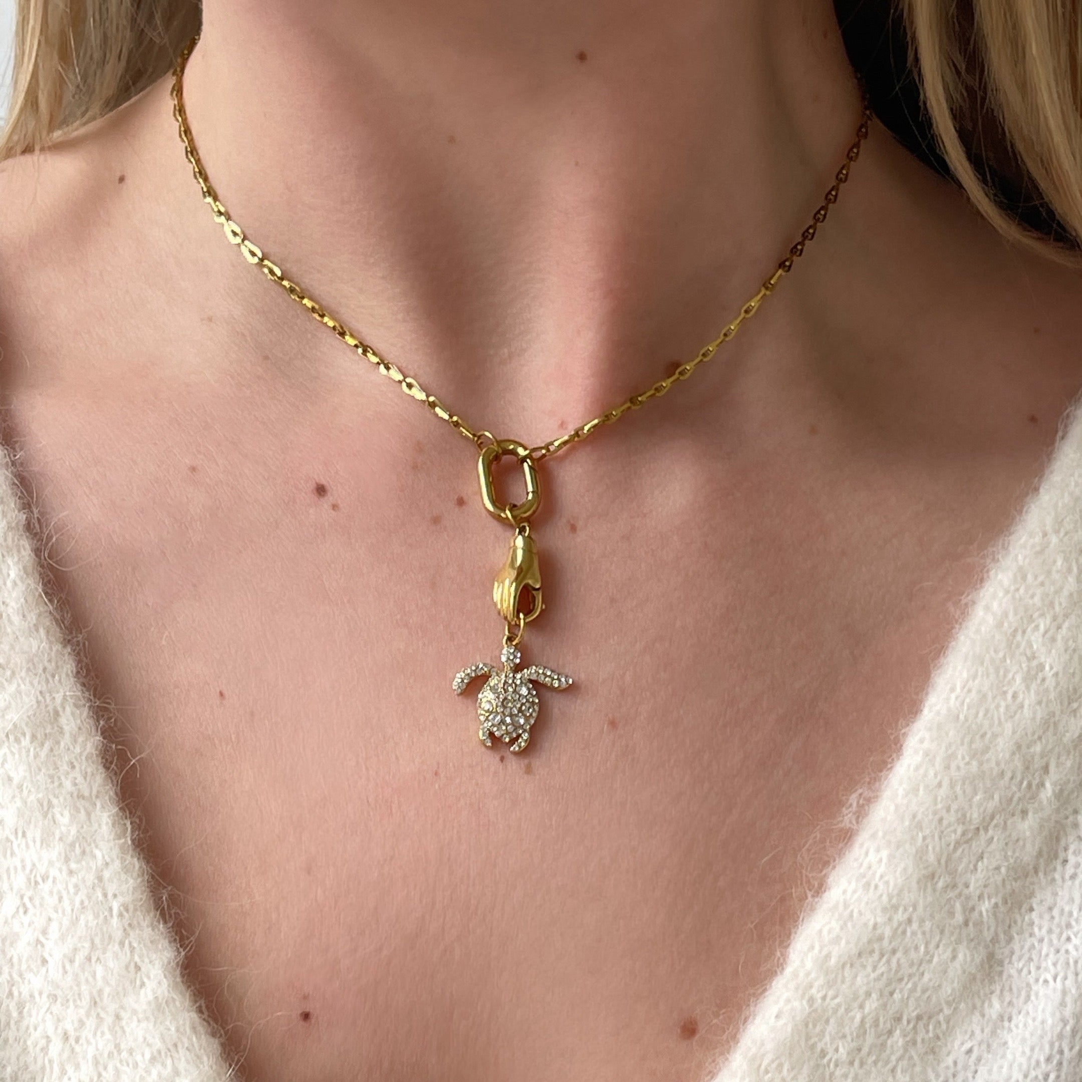 DYO Shiny Turtle DYO Shiny Turtle