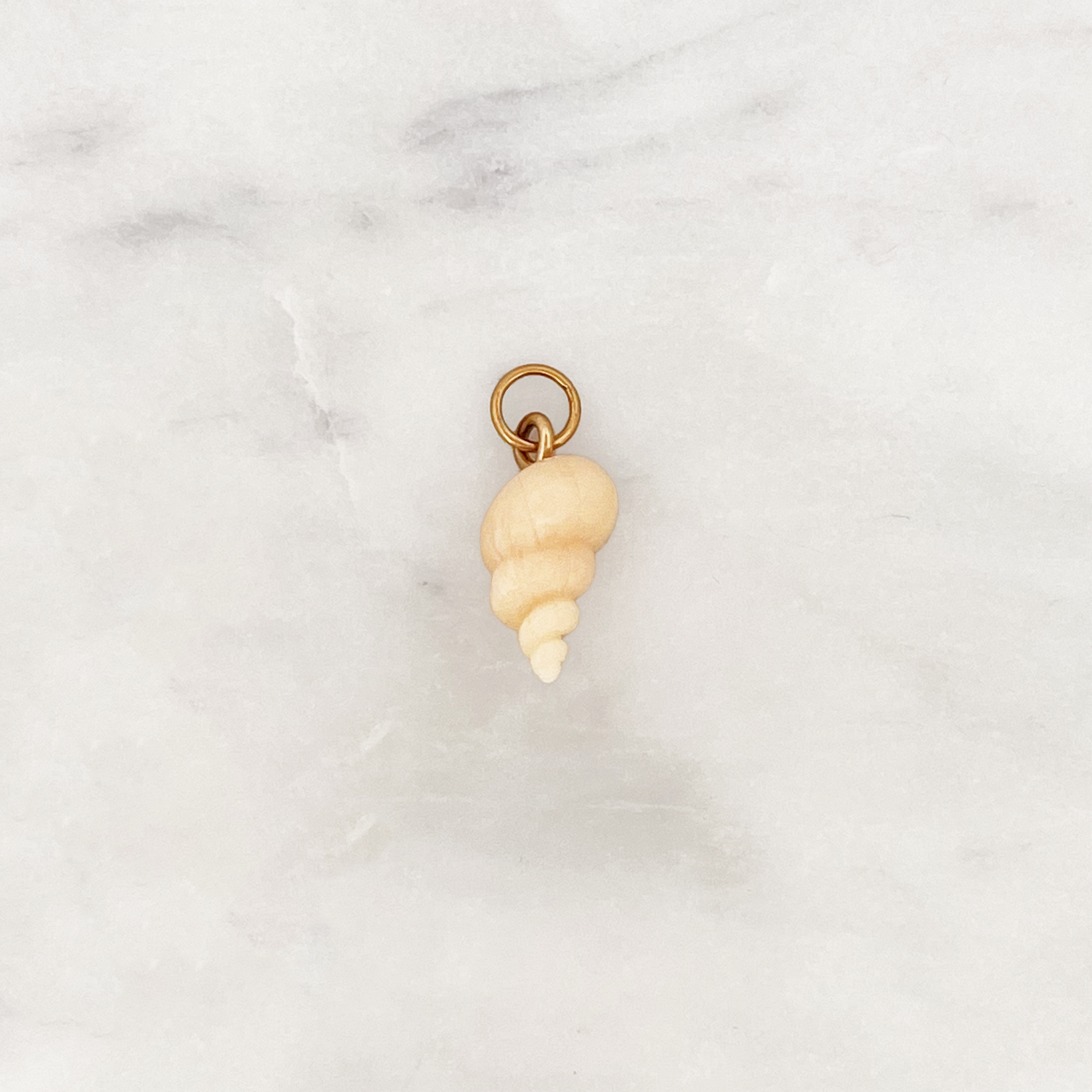 DYO Beige Conch Shell DYO Beige Conch Shell