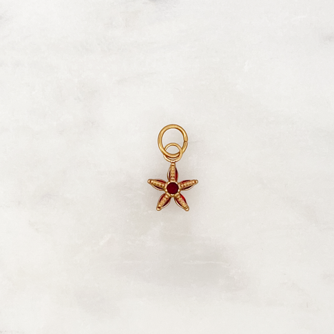 DYO Garnet Starfish