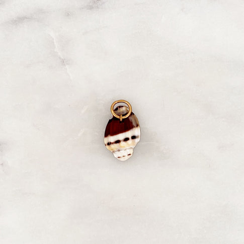 DYO Brown Beach Shell