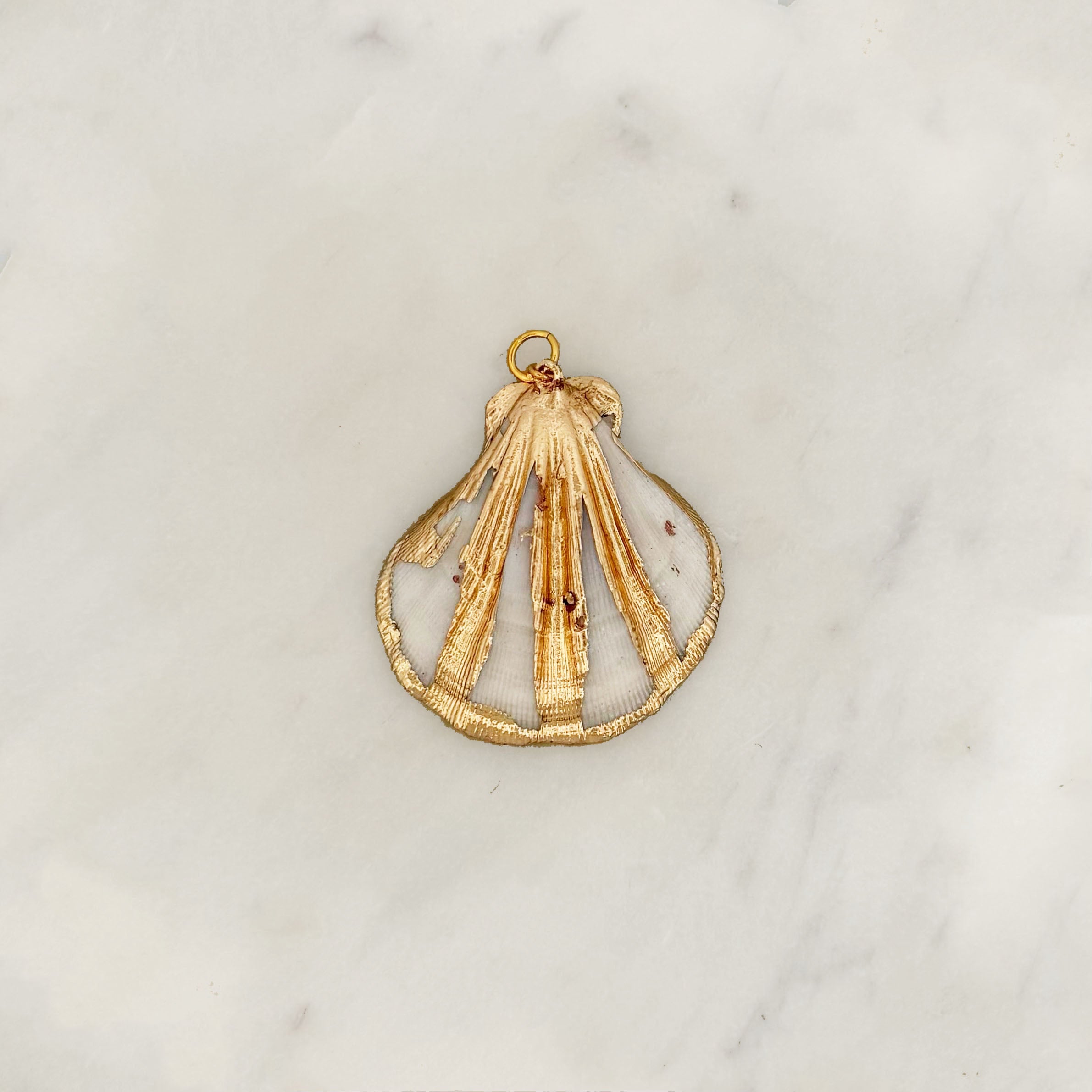 DYO Ivory Gold Shell