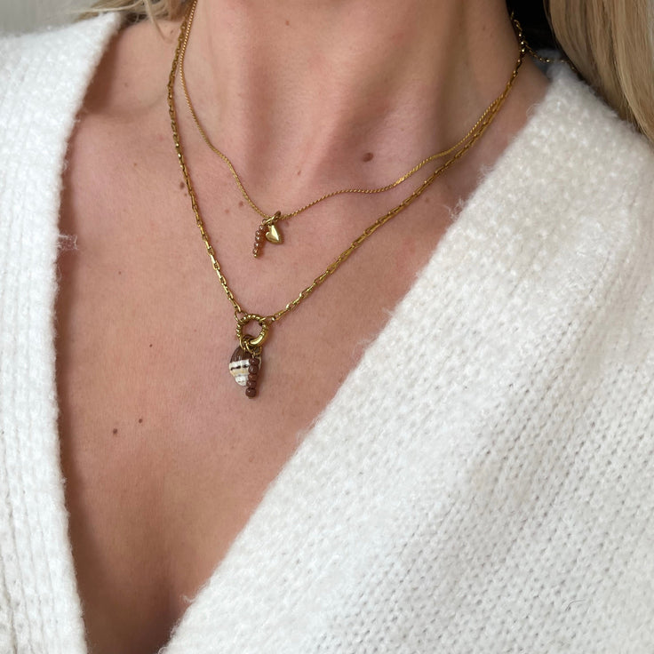 DYO Brown Beach Shell