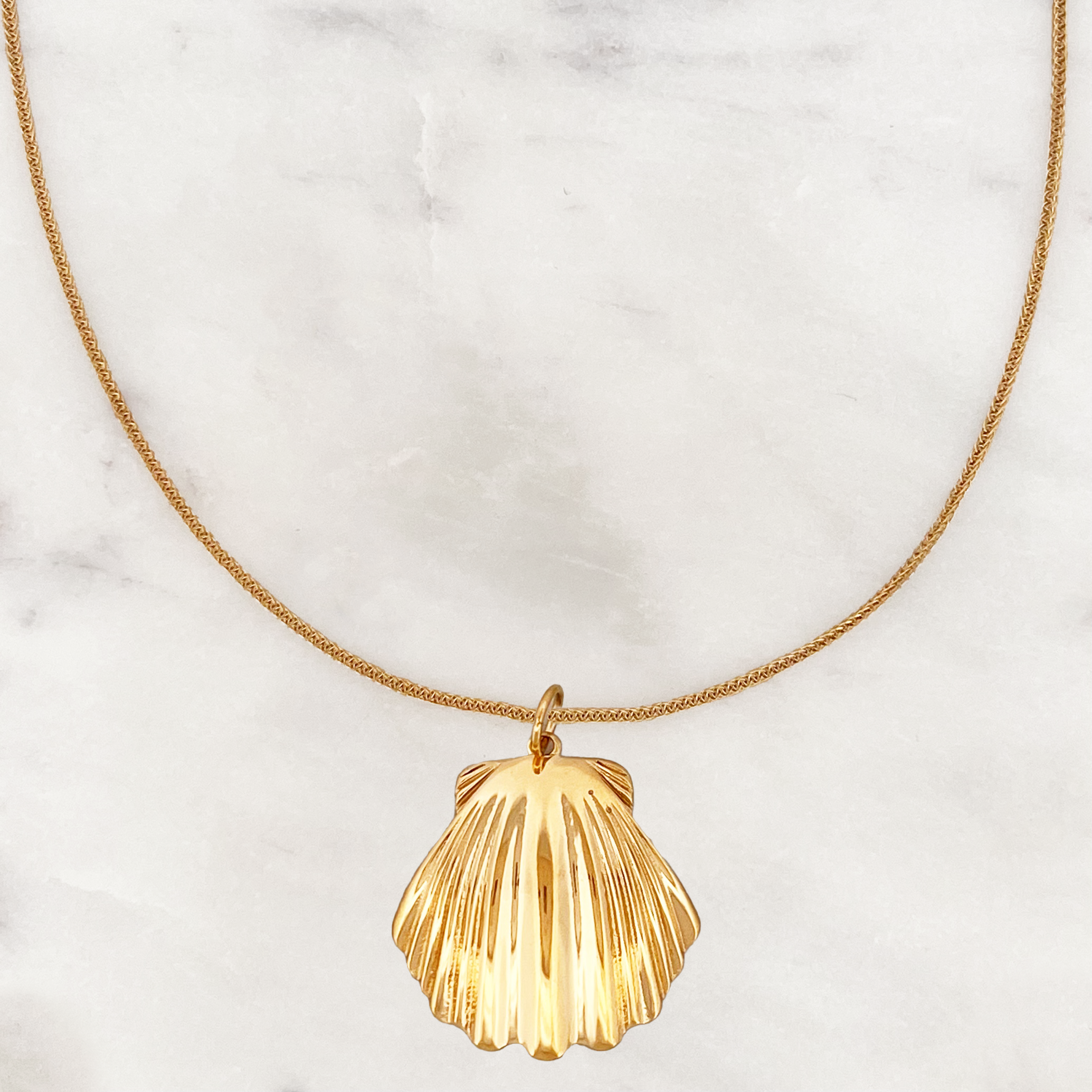 Necklace Big Scallop Shell