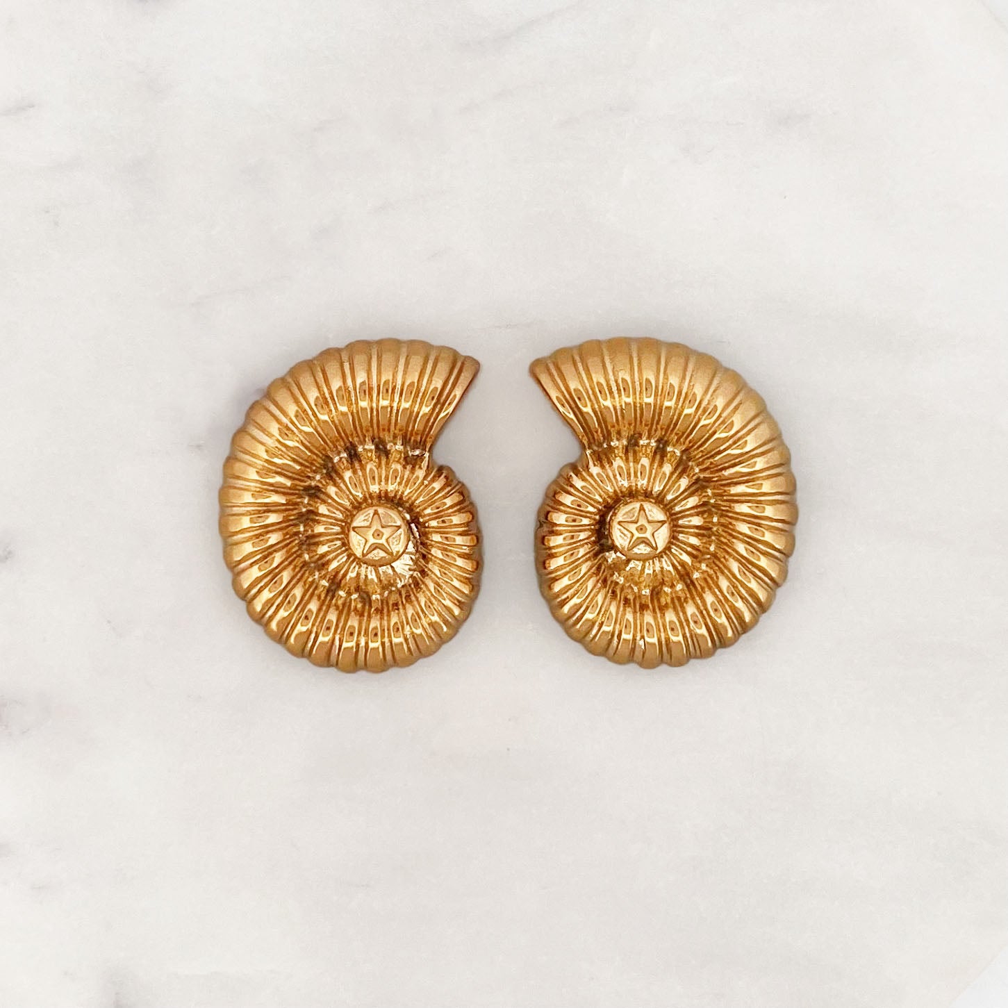 Seashell Earstud Set