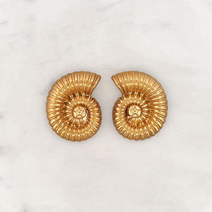 Seashell Earstud Set