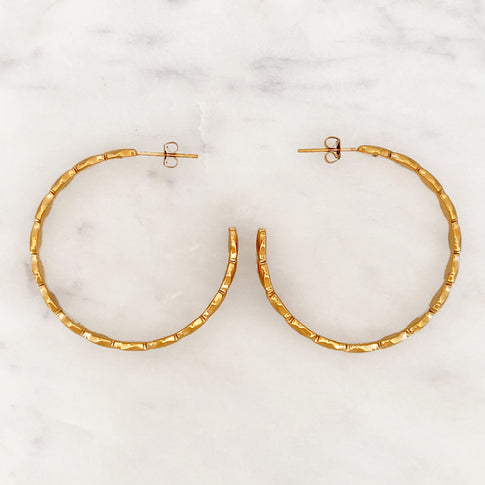 Shell Hoop Set