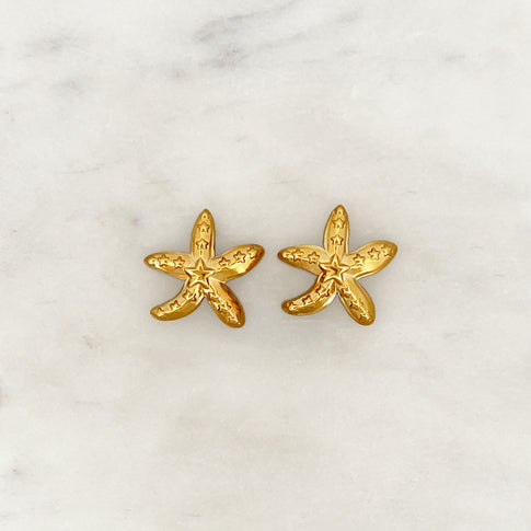 Starfish Earstud Set