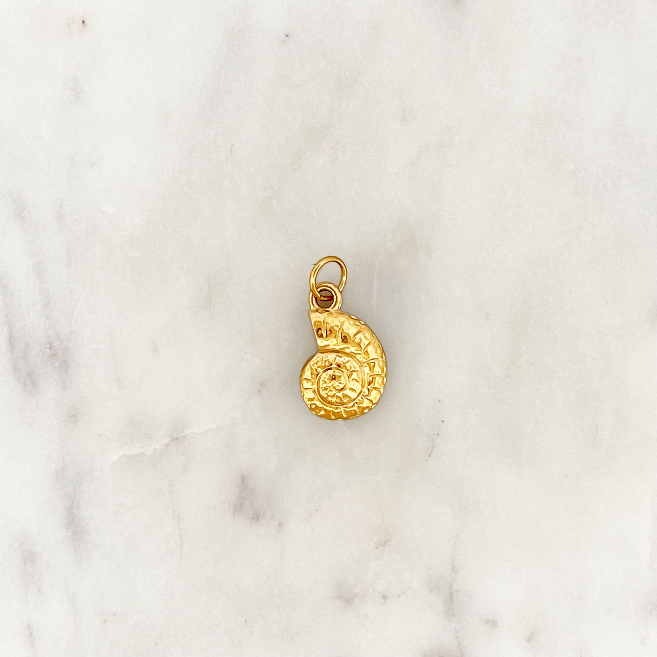 DYO Small Shell