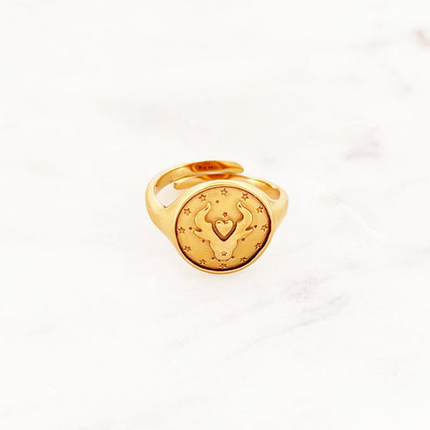 Sign Signet Ring - ByNouck Jewelry