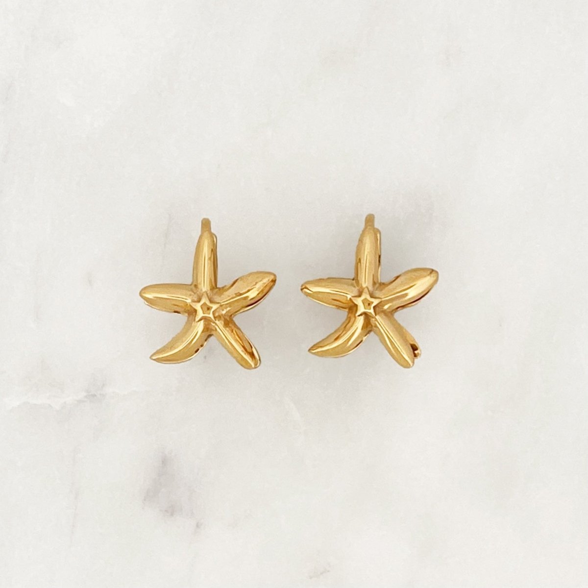 Starfish Hoop Set - ByNouck Jewelry